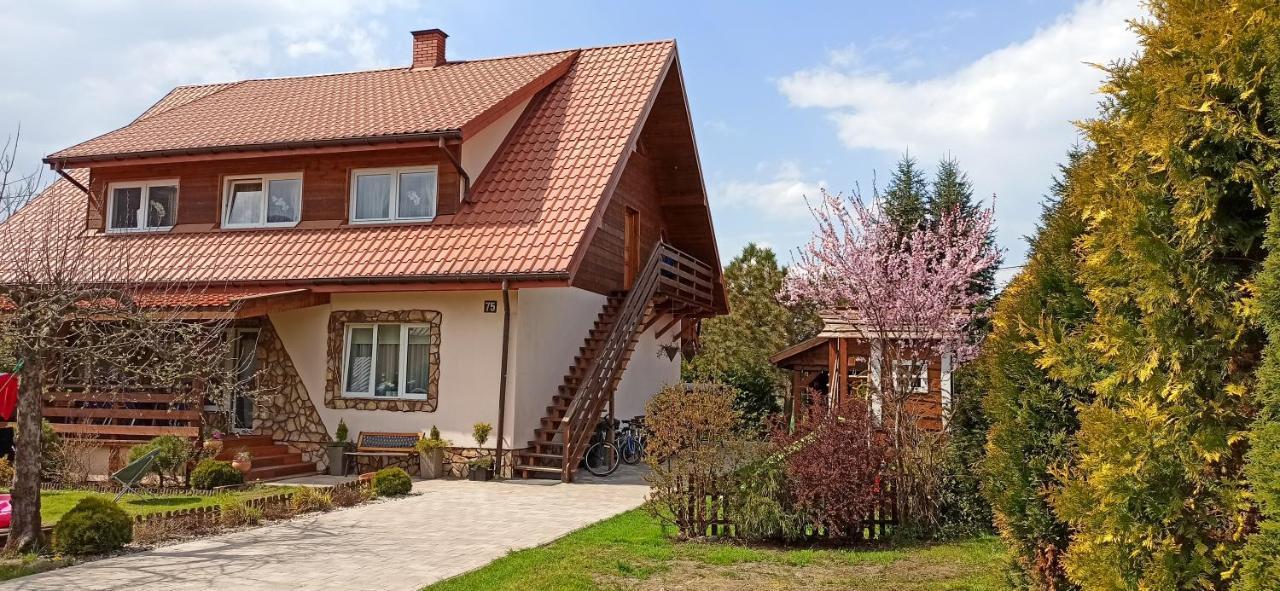Rodzinny Zakatek "U Gluszkow" Bieszczady Myczkowce Bagian luar foto