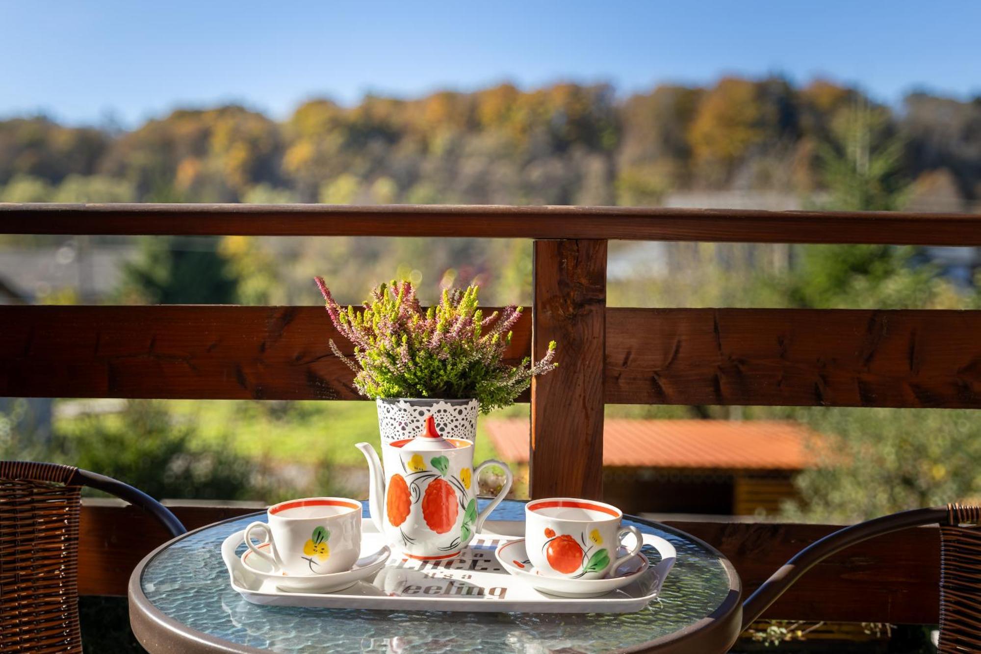 Rodzinny Zakatek "U Gluszkow" Bieszczady Myczkowce Bagian luar foto